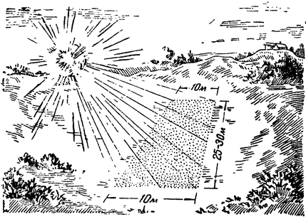 Рис. 124. Действие бризантной гранаты; точками показано, на какой площади ее осколки наносят действительное поражение